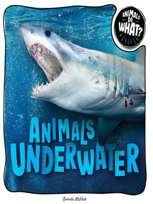 cover image of Animals Underwater